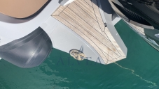 Panamera Yacht 100